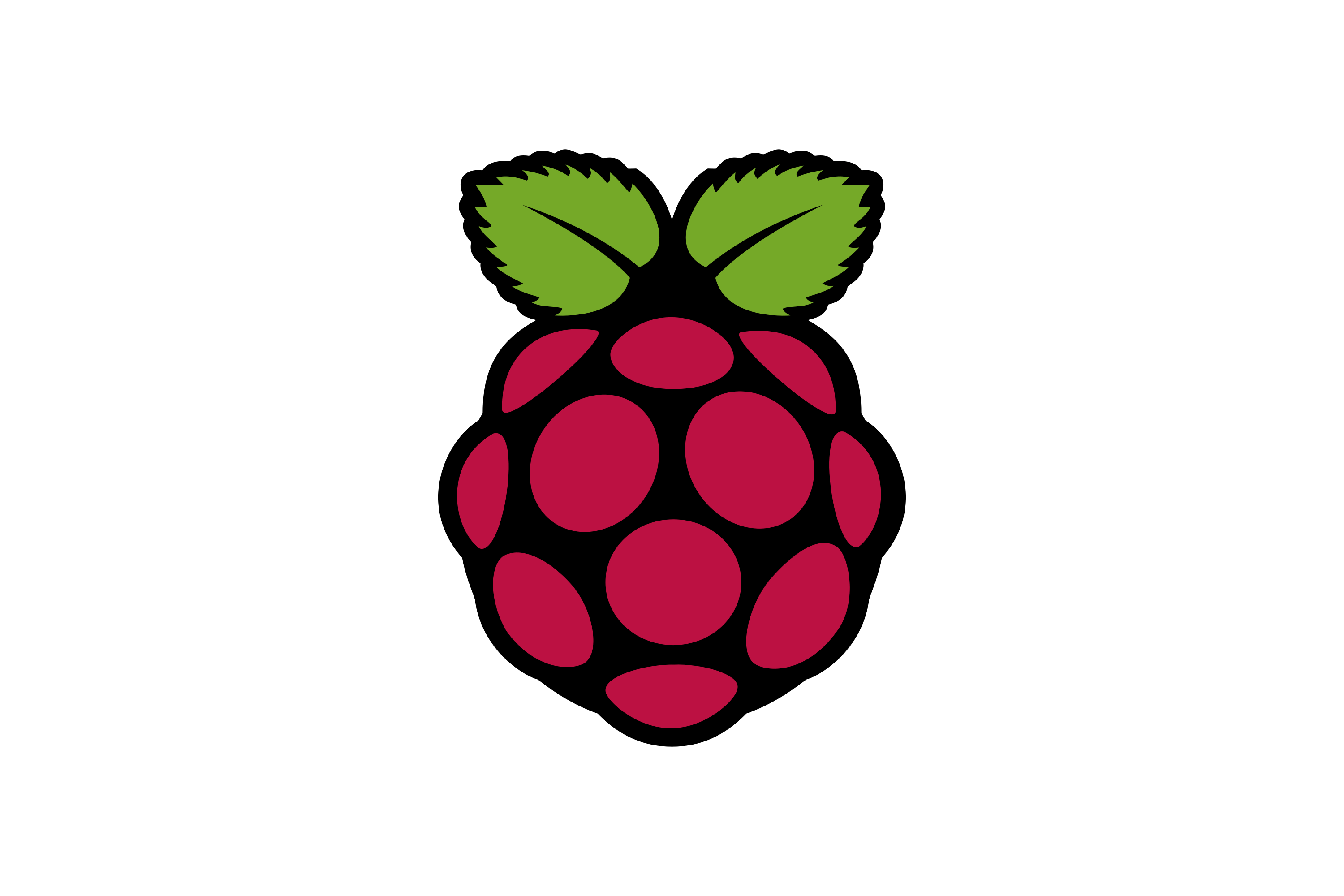 Using a Raspberry PI as a Local DNS server & an Ad-Blocker