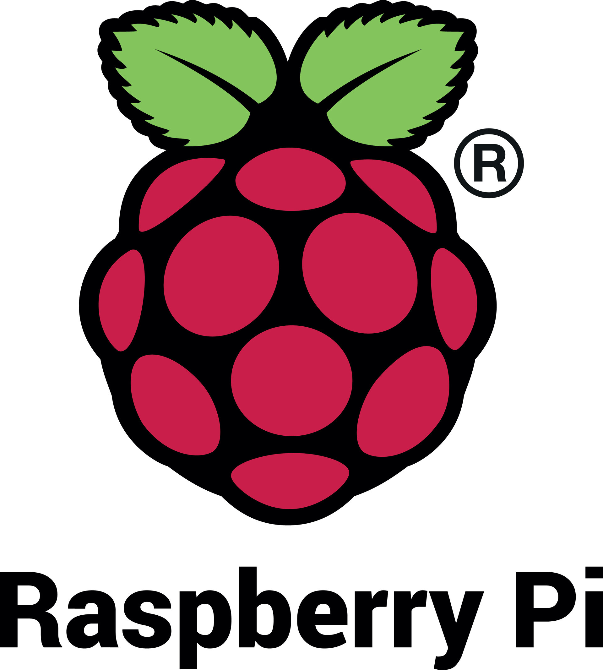 Using a Raspberry PI as a Local DNS server & an Ad-Blocker